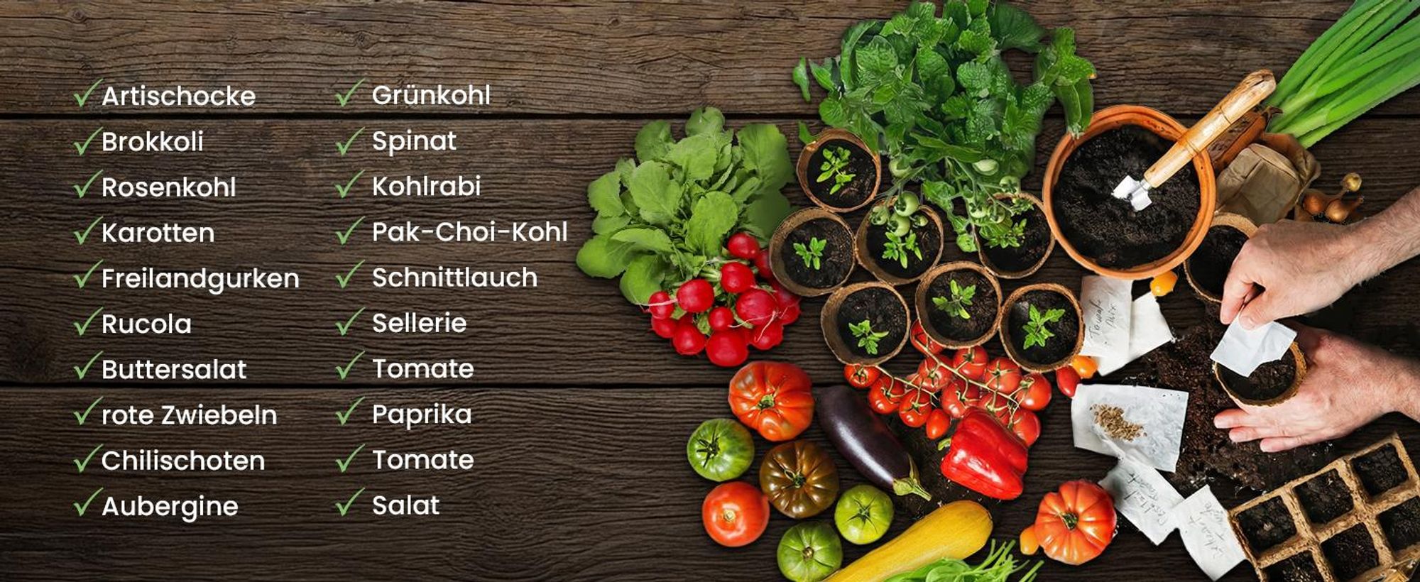Green Harvest Gemüsesamen Set, 20 Sorten, 20 Beutel, Saatgut für Garten