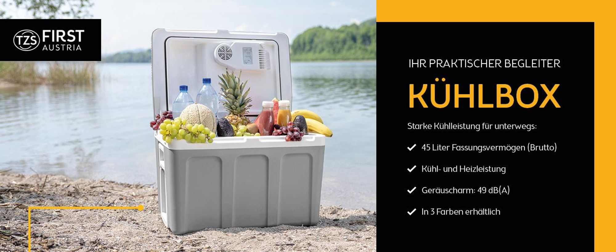 TZS First Austria - Kühlbox 45L elektrisch 12V 230V Anschluss für Auto & Steckdose - Thermoelektrisch - Grau
