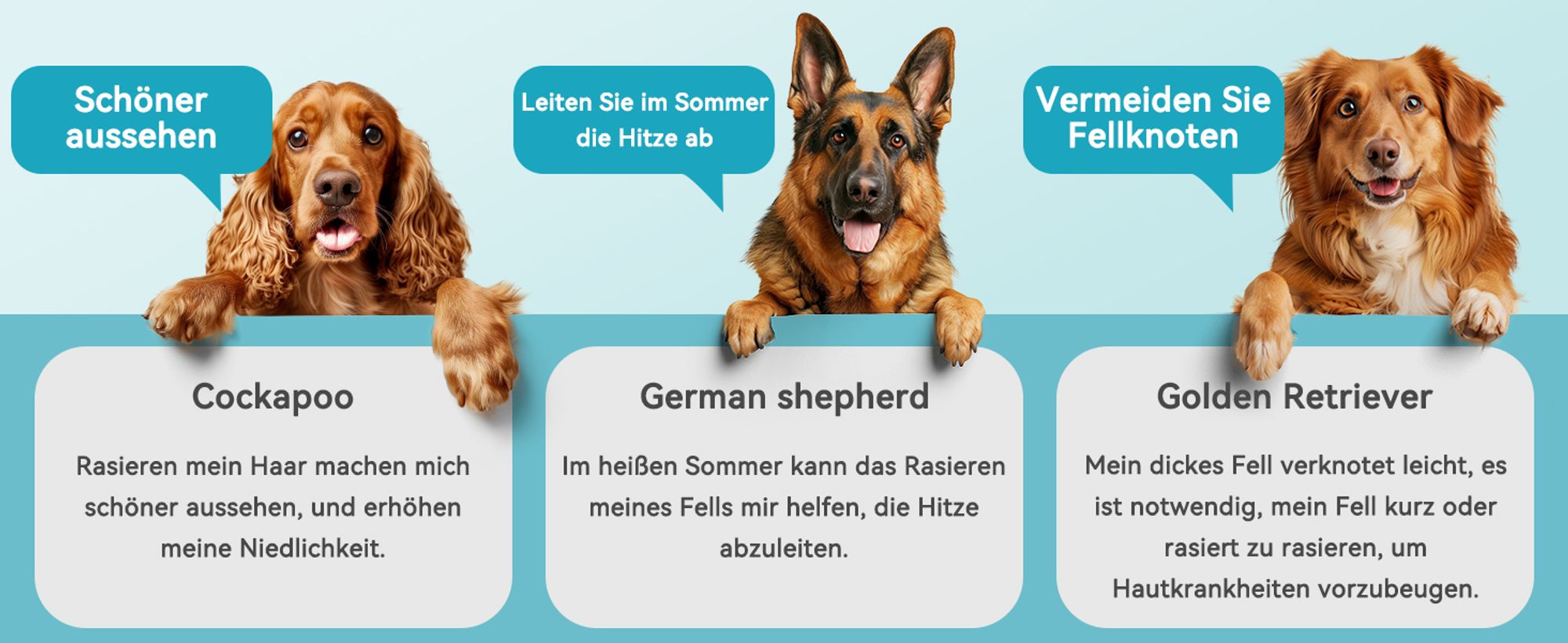 Oneisall Leise Hundeschermaschine, Profi Schermaschine Hund Katze mit 6 Aufsätze