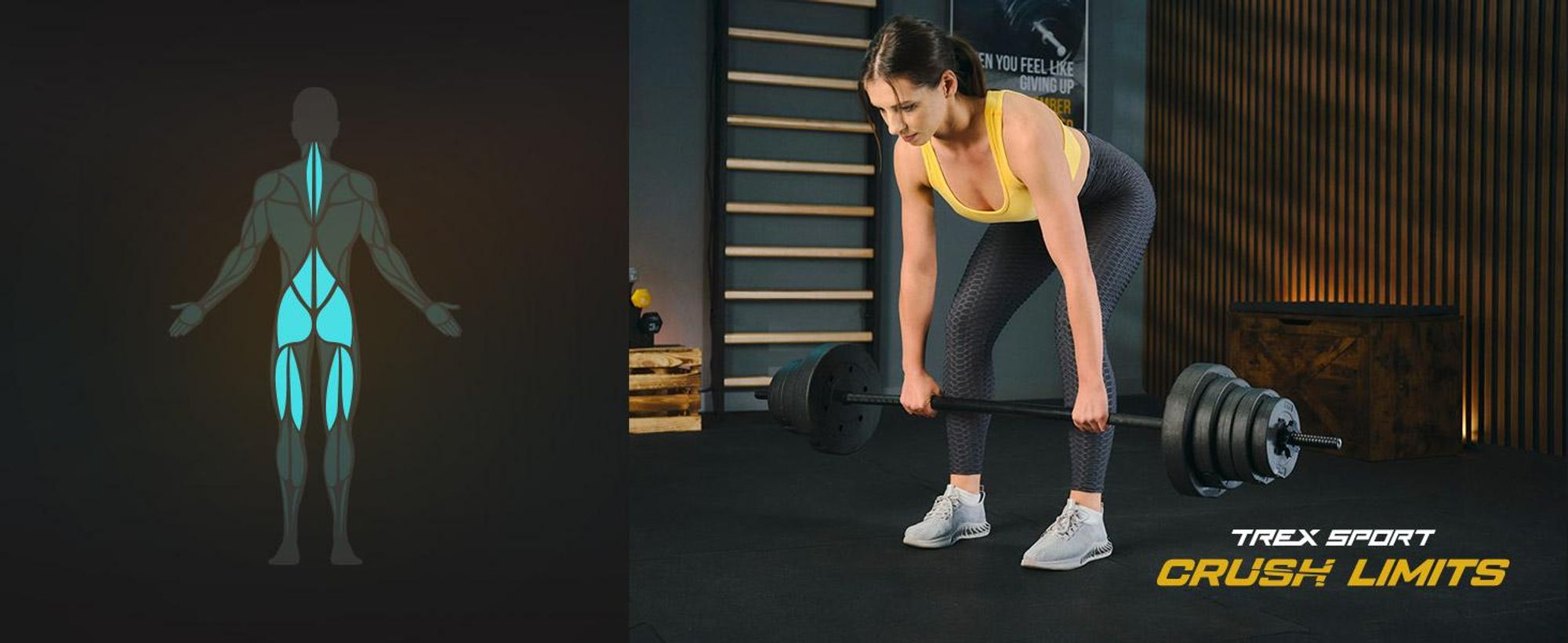 TREX SPORT Hantelscheiben Set 20kg (2x10kg) TX-020DS | Kunststoff Gewichtsscheiben Ø27mm | Fitness Scheiben, Gewichte für Hantel, Hantelgewichte