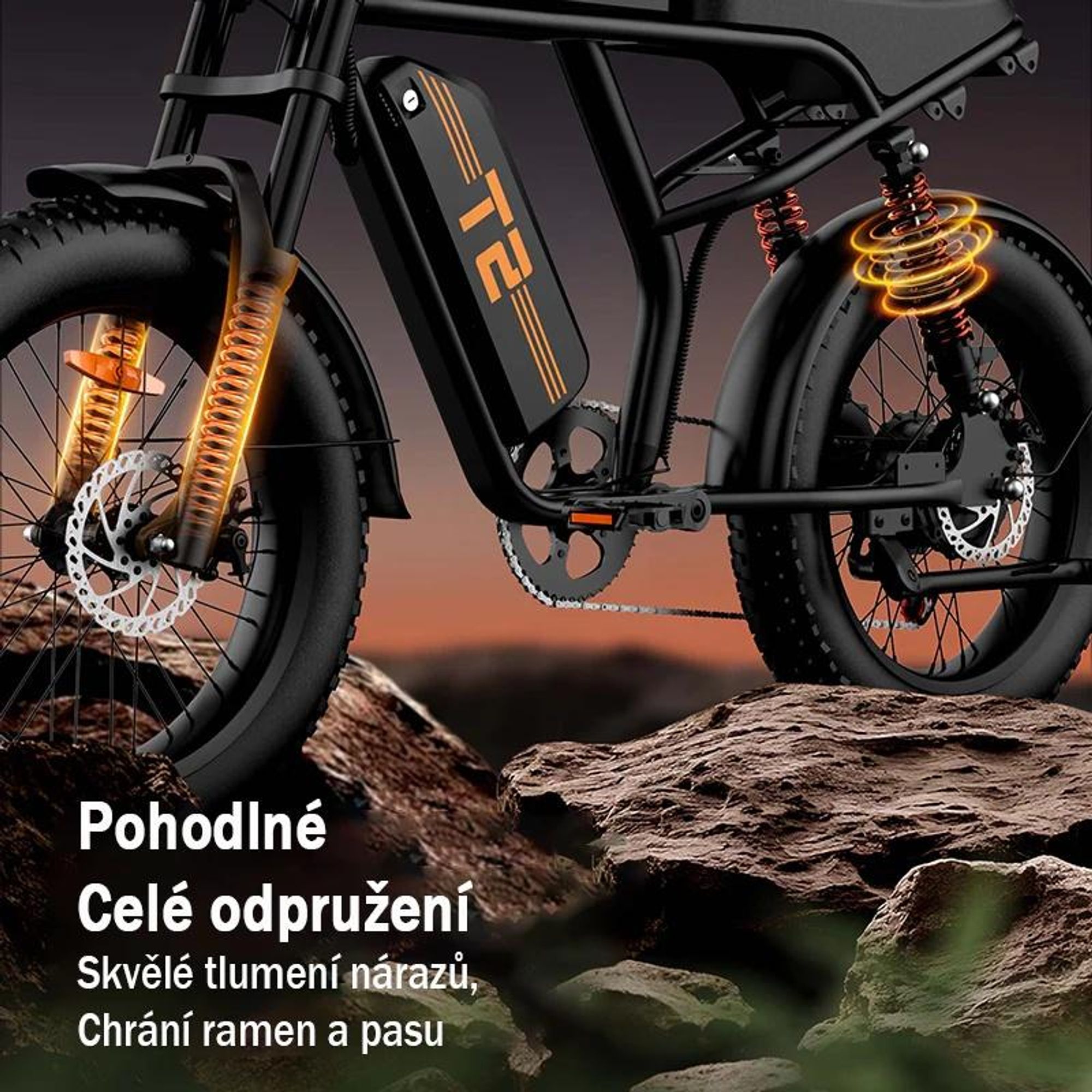 URLIFE T2 Elektrokolo - Motor 250W Baterie 48V 15.6Ah Kotoučové brzdy Asistent šlapání - Černá