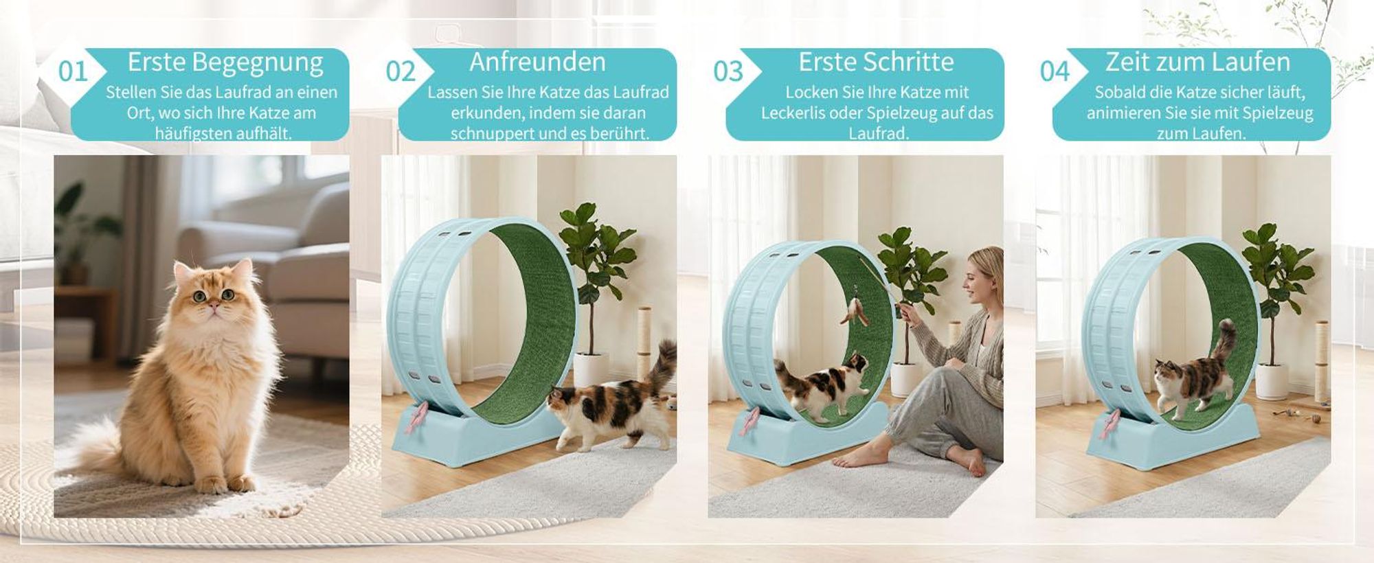 FCH Katzenlaufrad, Laufband für Katzen, Innendurchmesser 80cm, PP-Kunststoff, leise Laufband und Sicherheitsschloss-Design, Blau