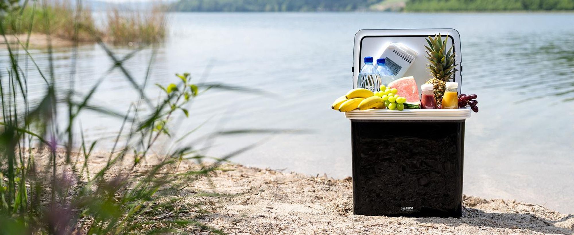 TZS First Austria - Kühlbox 32L elektrisch 12V 230V Anschluss für Auto & Steckdose - Thermoelektrisch - Schwarz