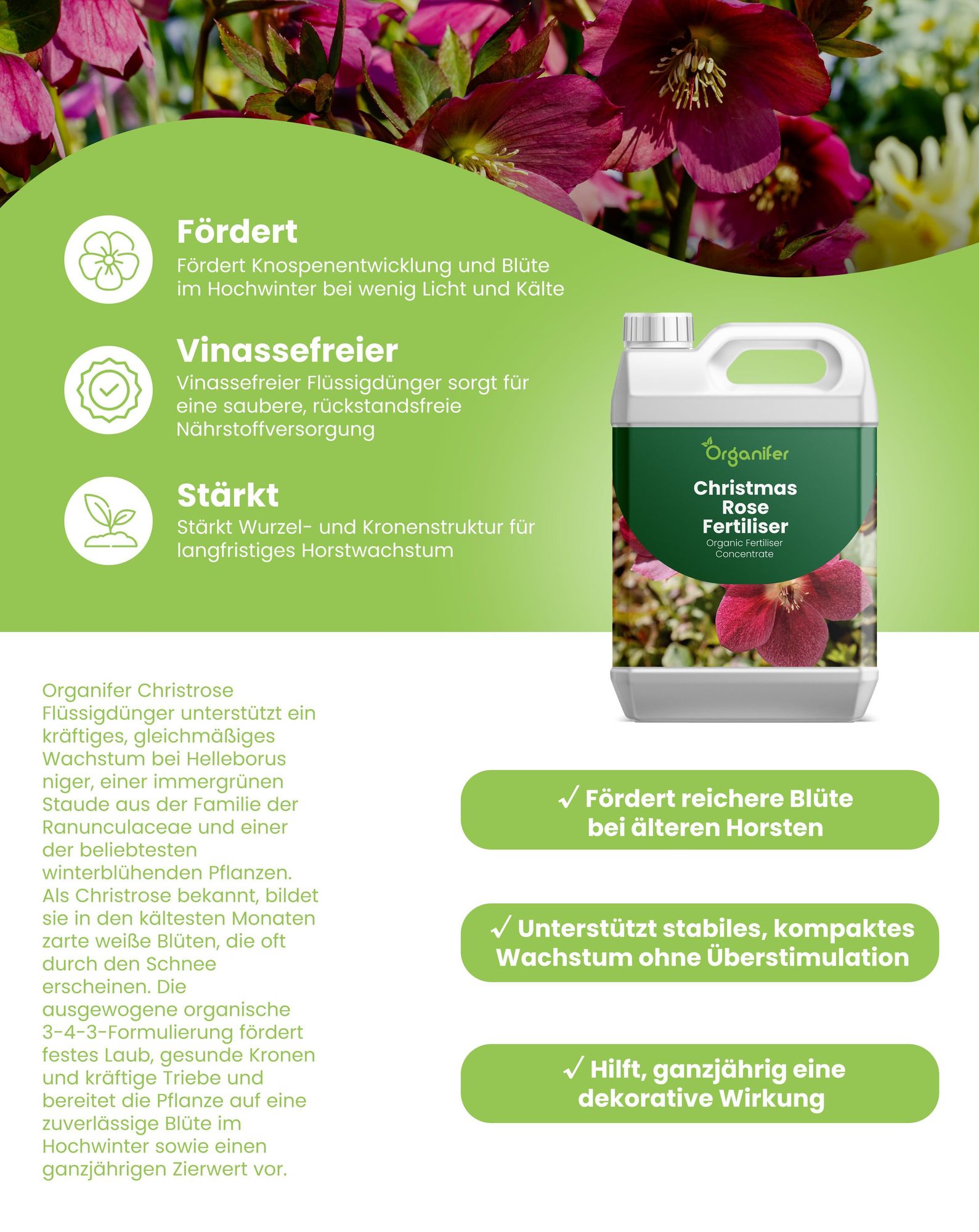 Weihnachtsrose Flüssigdünger 1L – 3-4-3 NPK – Flüssigdünger Für Blühpflanzen – Für Üppige Winterblüte & Starke Pflanzen – Organifer