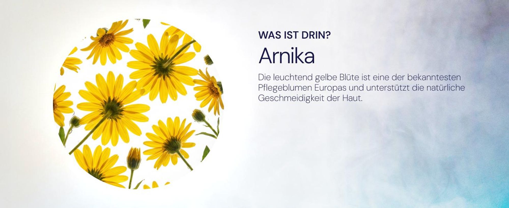 Artodip Gel Wärmegel & Massagegel 50 ml für Gelenke, Muskeln & Rücken