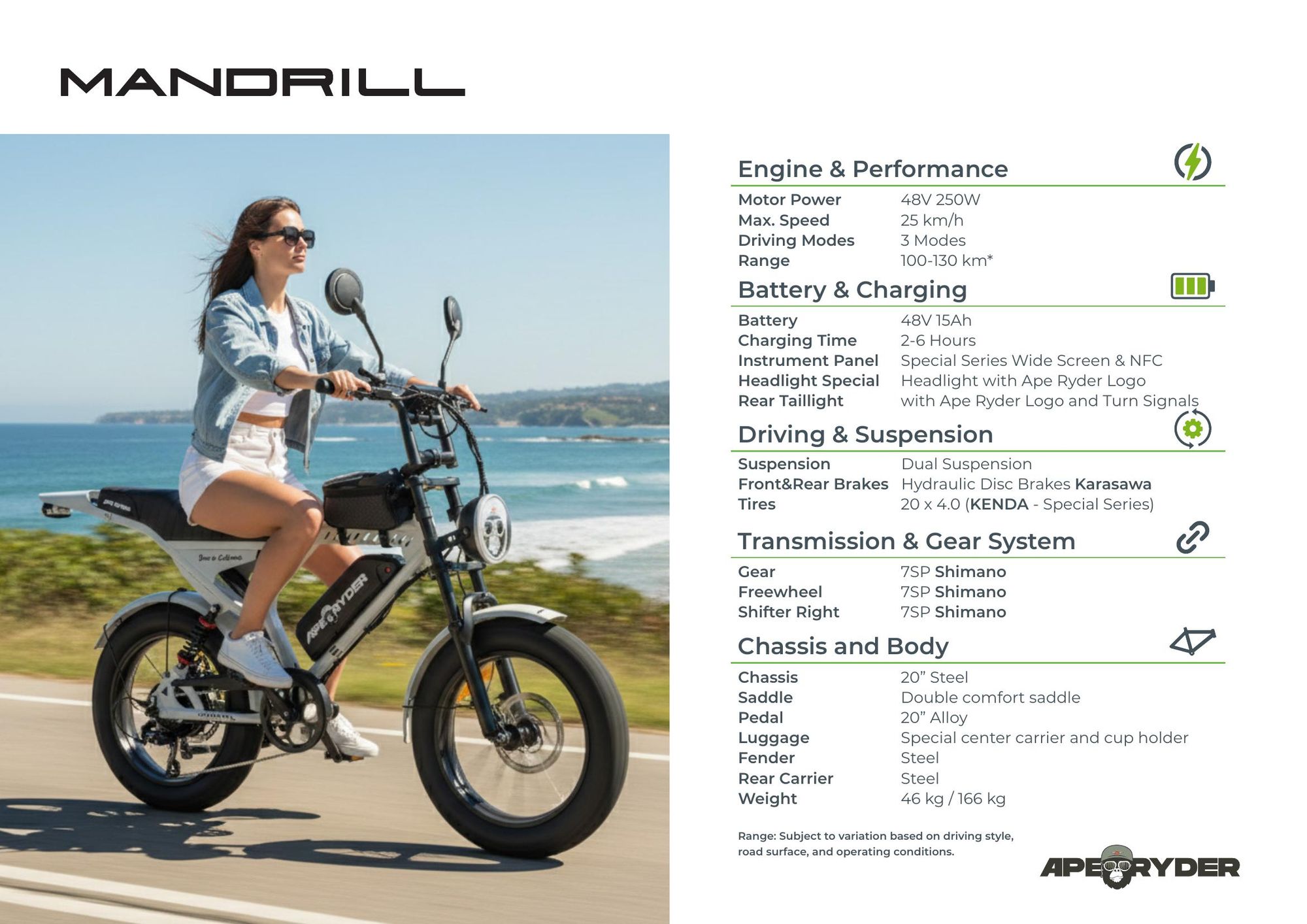 APE RYDER Mandrill E-Bike 20" Fatbike, 250W Motor, 48V 15Ah (100-130 km), Hydraulische Scheibenbremsen, Dual Suspension, Shimano 7-Gang, 25 km/h