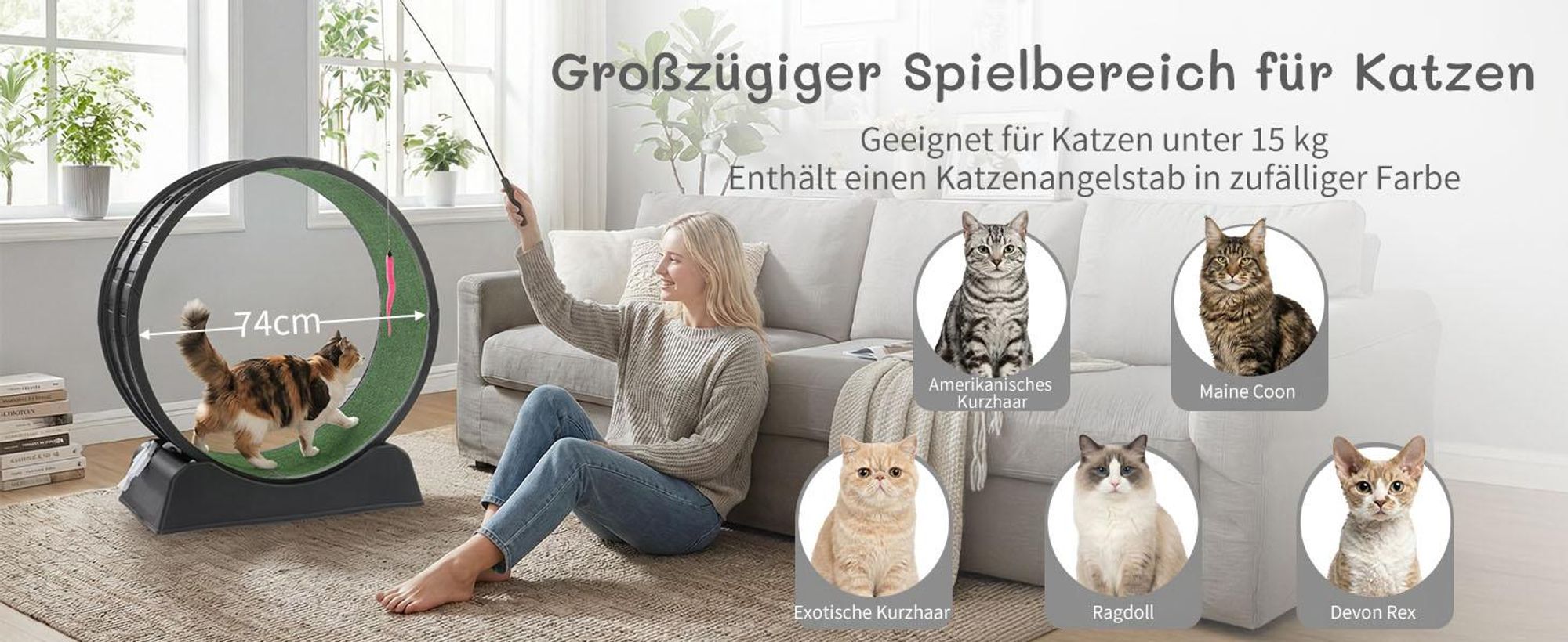 FCH Katzenlaufrad, Laufband für Katzen, Innendurchmesser 80cm, PP-Kunststoff, leise Laufband und Sicherheitsschloss-Design, Schwarz
