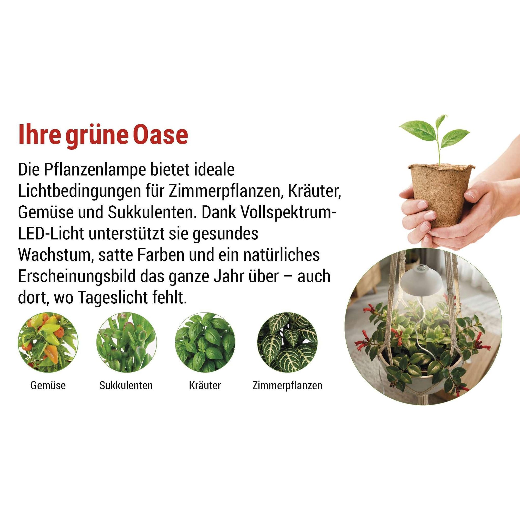 EMOS LED-Grow-Lampe für Zimmerpflanzen und Sukkulenten, Wachstumslampe in Schirm-Design mit Timer, höhenverstellbar, 235lm, 1,5m USB-Kabel, Z7901