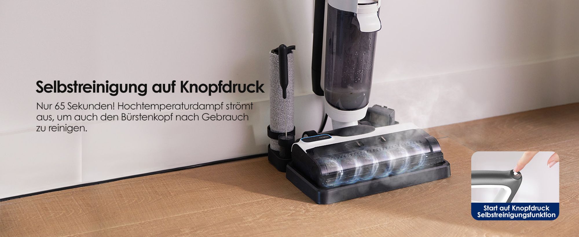 Selbstreinigung