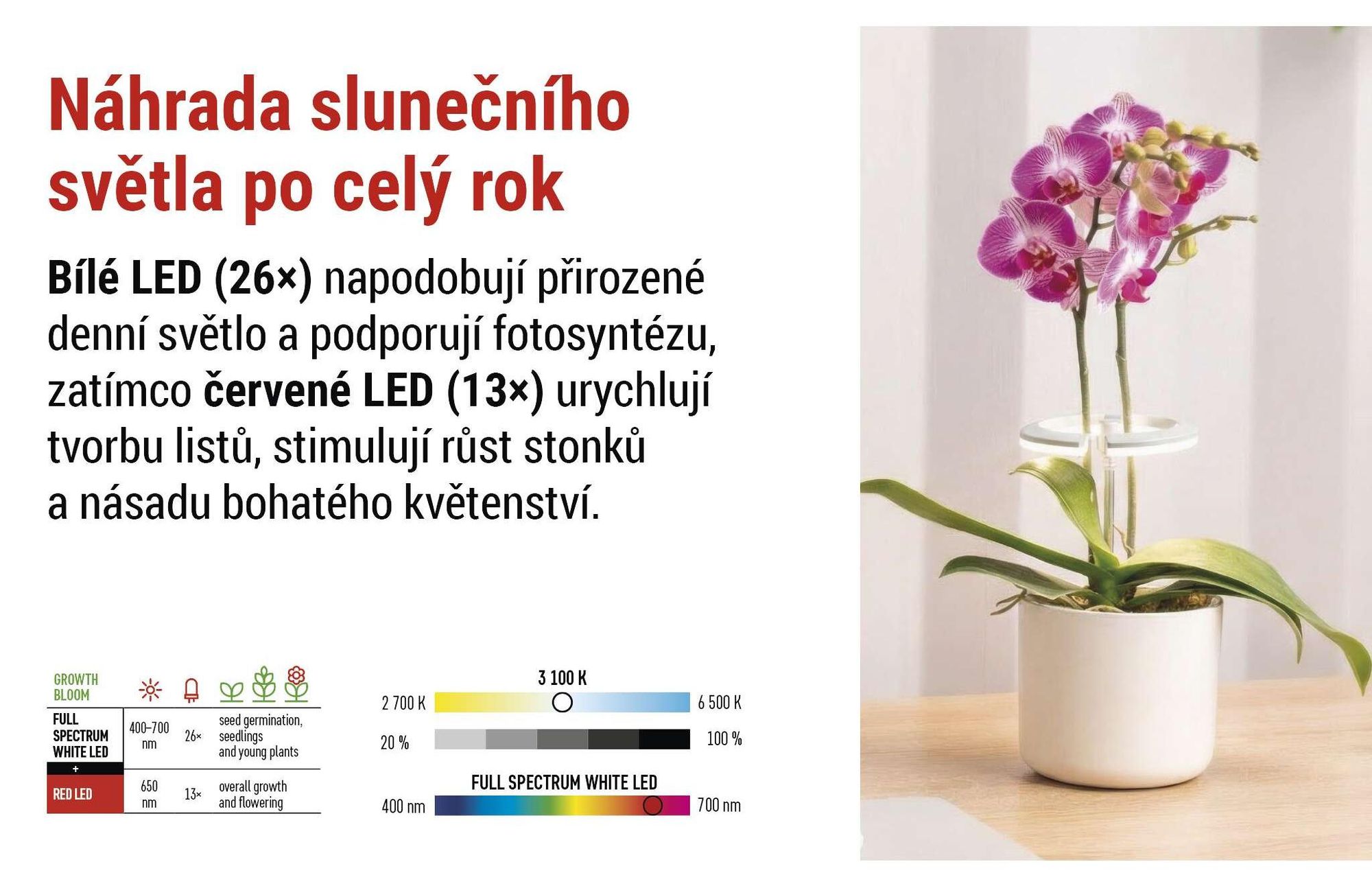 EMOS LED pěstební lampa pro pokojové rostliny a sukulenty, kulatá lampa pro orchideje s časovačem, výškově nastavitelná, 300lm, 1,7m USB kabel, Z7902