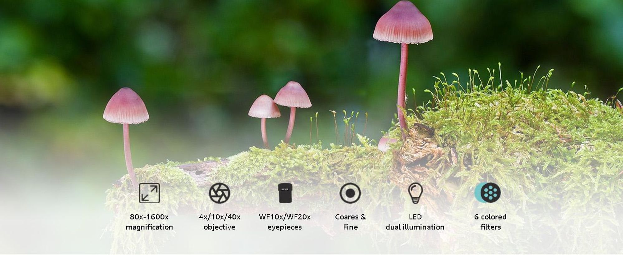 Binokulárne mikroskopy Svbony, 80X-1600X pre deti študentov dospelých, s okulármi WF10x WF20x, profesionálny mikroskop pre školské laboratórium, domáce biologické vzdelávanie