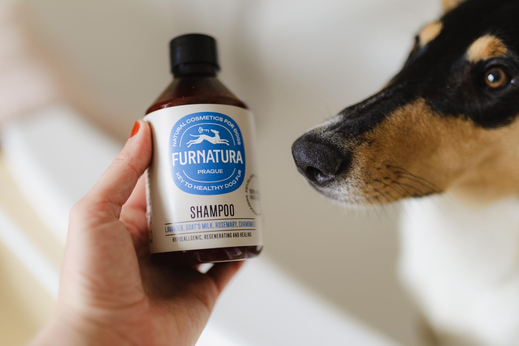 Sanftes Hundeshampoo zur Pflege empfindlicher Haut und weichen Fells.