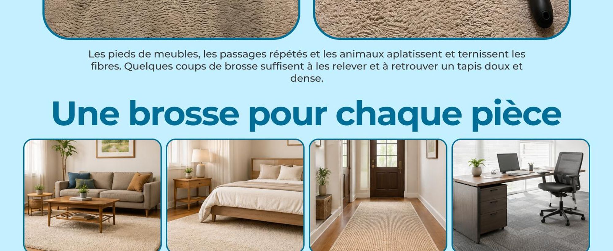 Brosse pour tapis Glissimo pour redonner du volume aux fibres convient aux animaux domestiques pour réparer les tapis aplatis design ergonomique