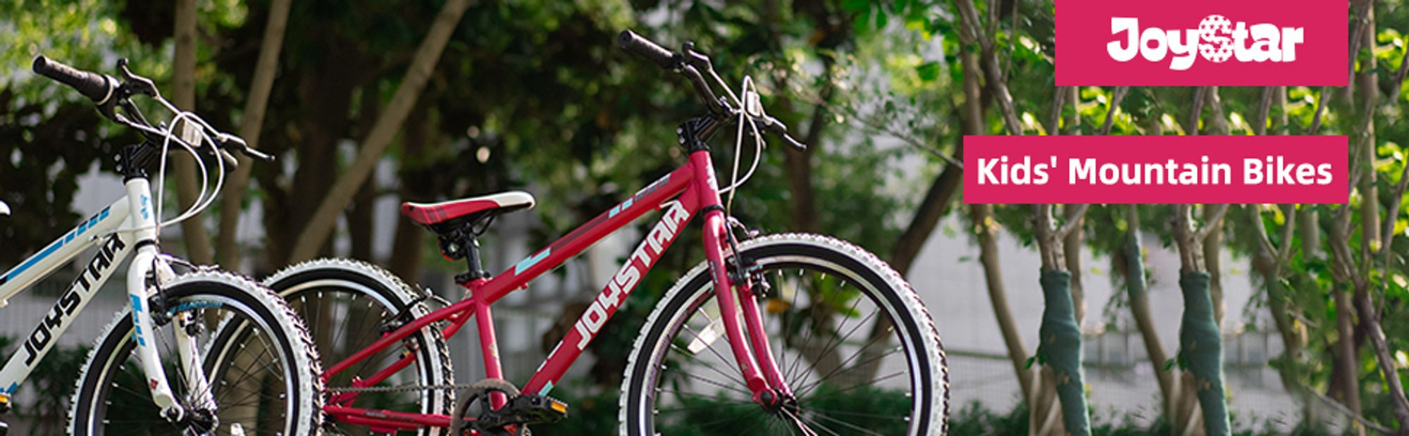 JOYSTAR 20 Zoll Kinderfahrrad für Jungen & Mädchen im Alter von 7-12 Jahren Hardtail Mountainbike für Kinder mit 1-Gang, Weiß