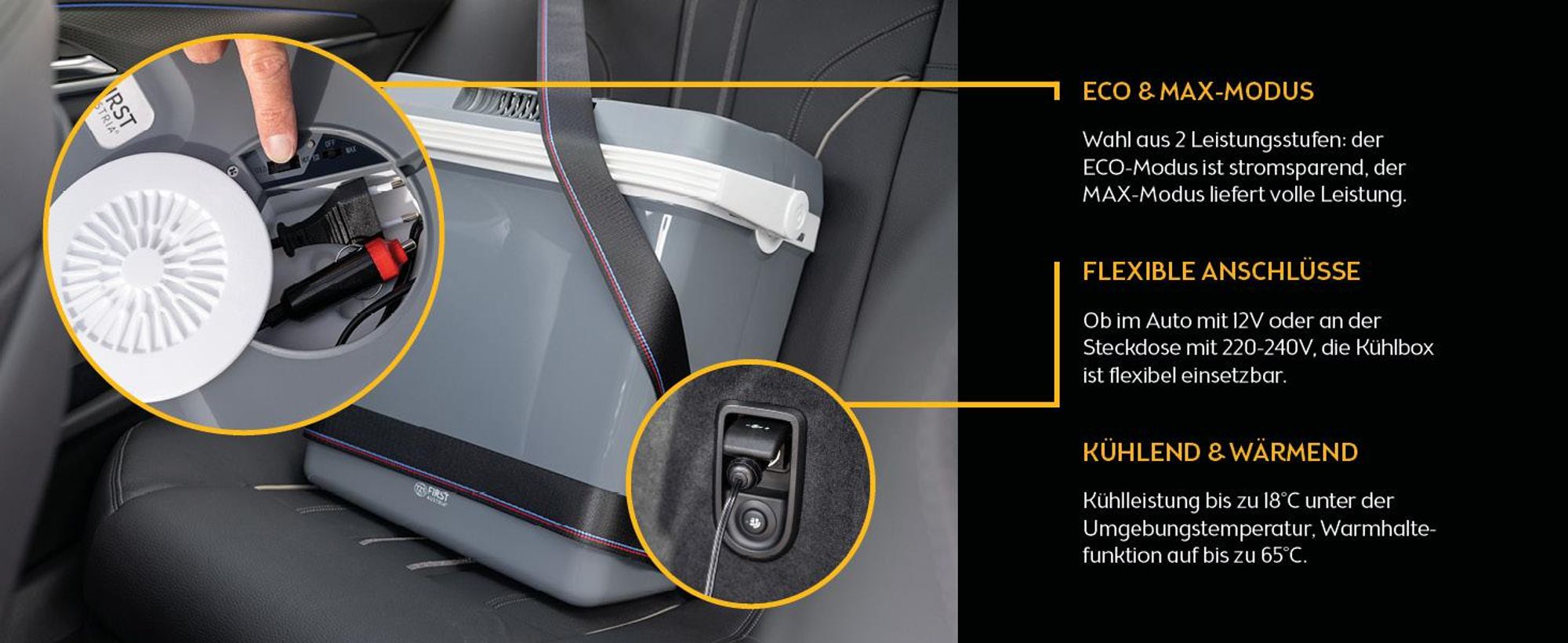 TZS First Austria - Kühlbox 32L elektrisch 12V 230V Anschluss für Auto & Steckdose - Thermoelektrisch - Grau