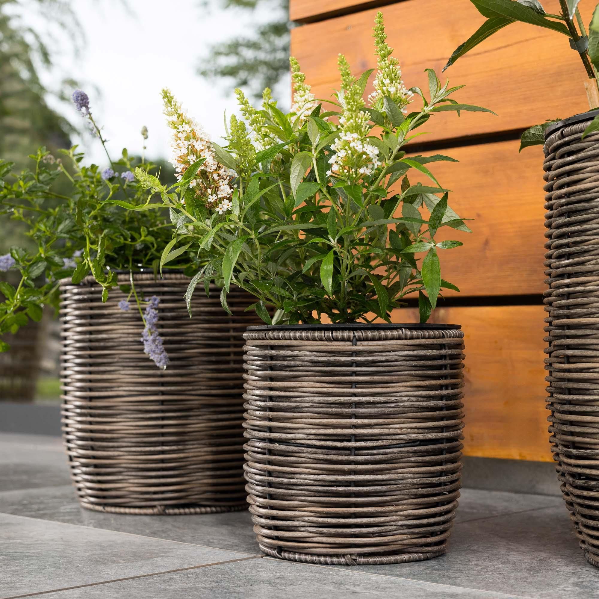 di volio Pflanzkübel Set 3-teilig Braun Rund Rattanoptik Blumenkübel GALPO