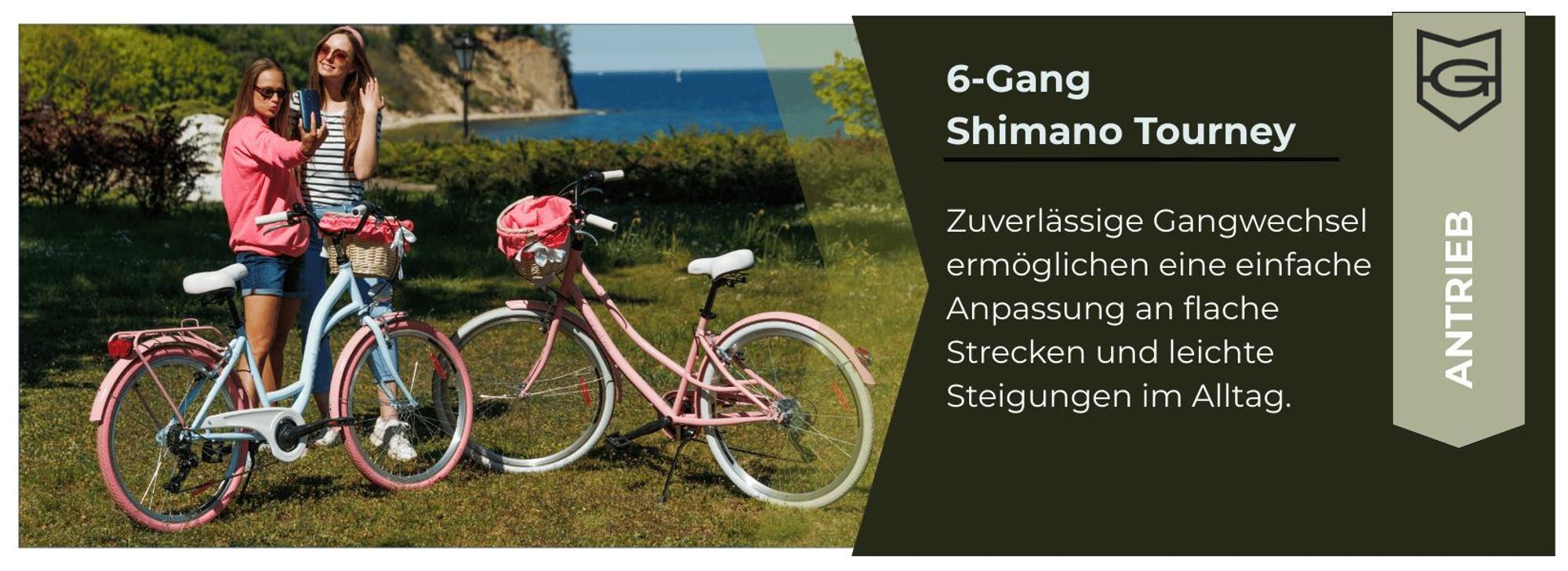 6-Gang Antrieb