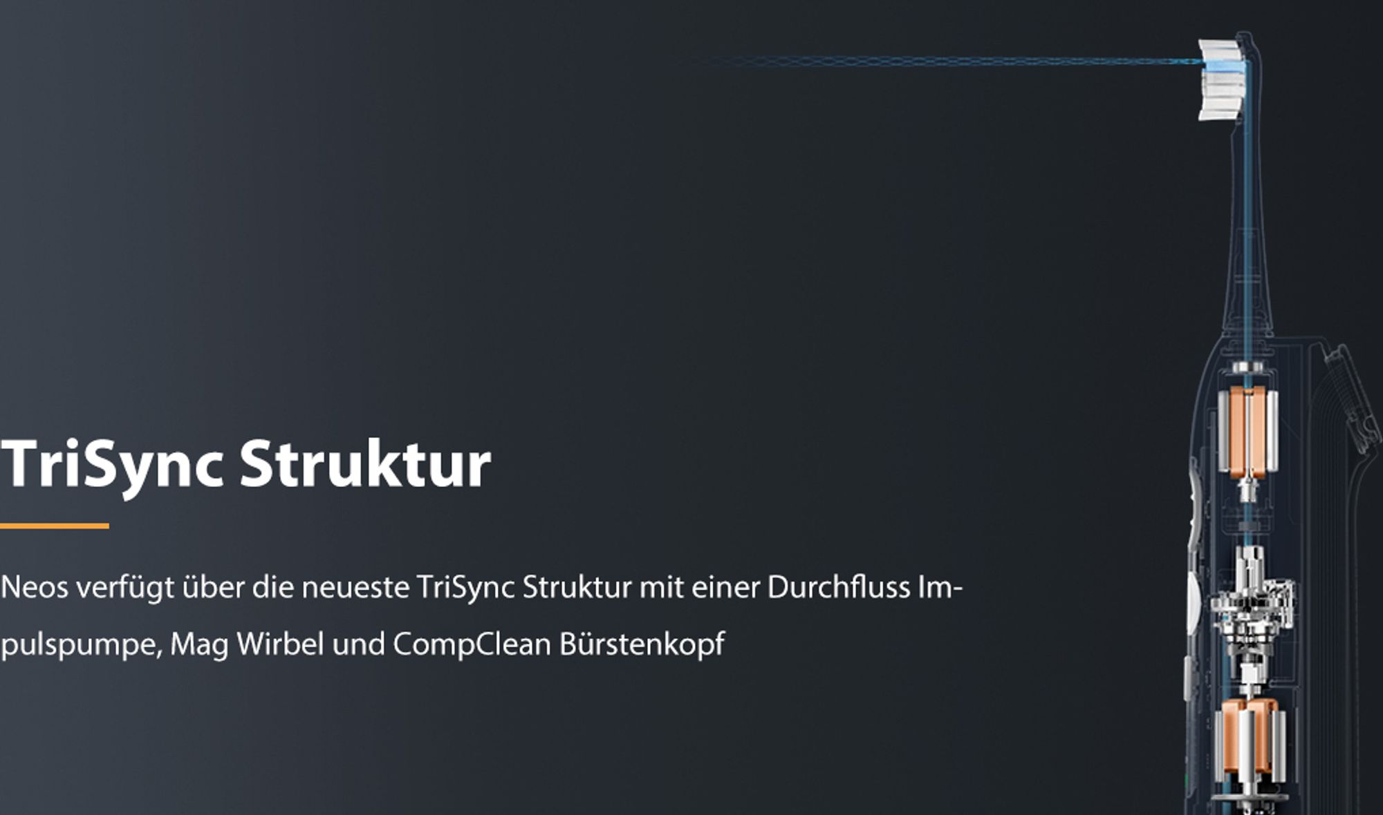 TriSync Struktur