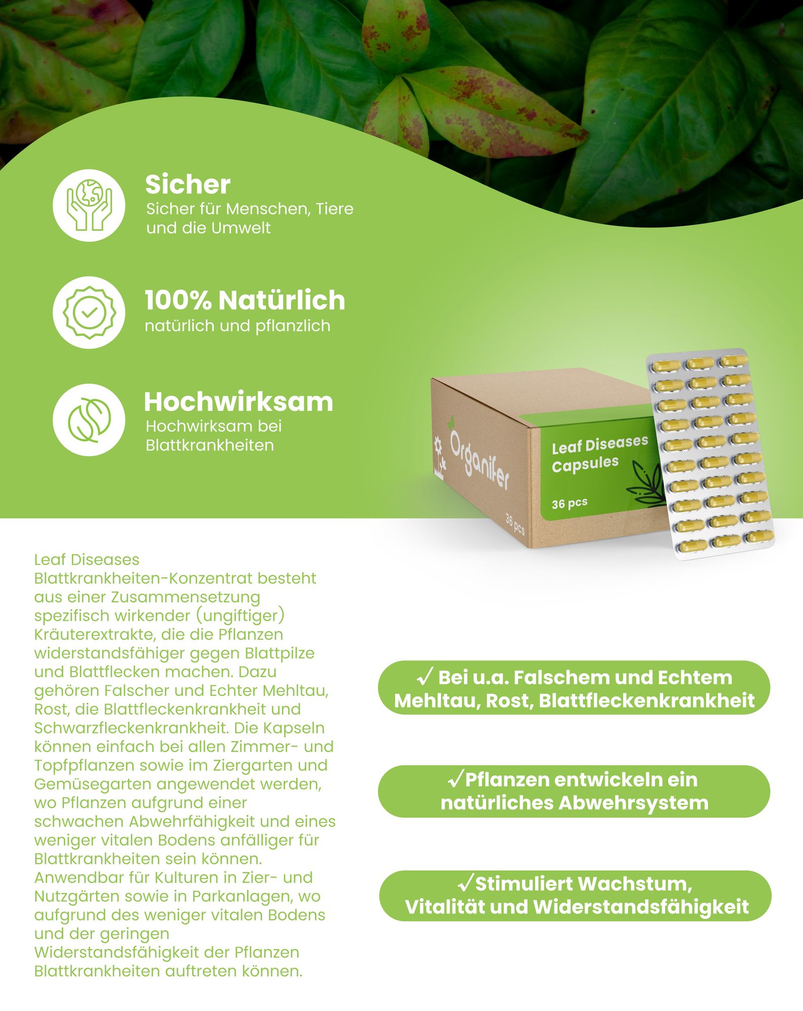 Blattkrankheiten Kapseln 240 Stück - Pflanzengesundheit - Gartenpflege - Nachhaltige Pflanzenpflege - Ungiftige Kapseln - Organifer