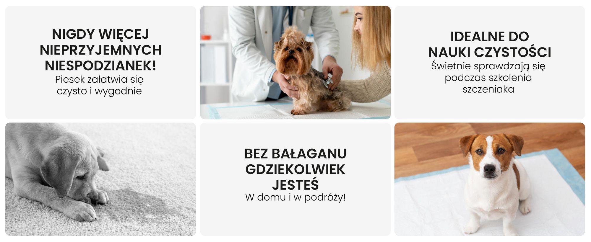RAGI Podkłady treningowe dla psów, 50 sztuk, szczenięta, maty PIPI Chłonne, szczelne, podkłady treningowe na nietrzymanie moczu, 60x90cm