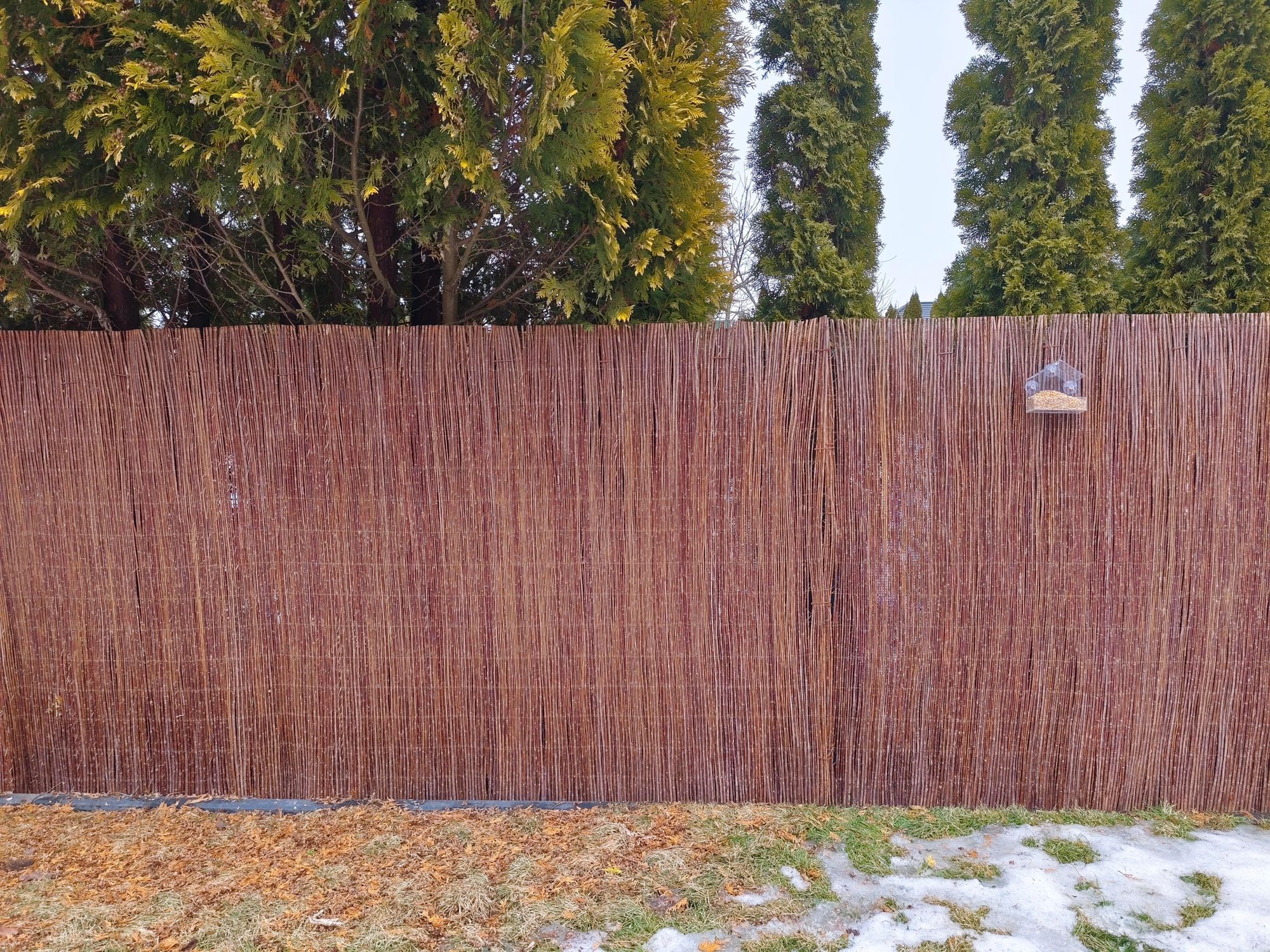 FOR THE GARDEN Weidenmatte 150x500 cm Natürlicher Weidezaun Windschutz & Sonnenschutz in Vielen Größen Balkon Garten Sichtschutz Zaun