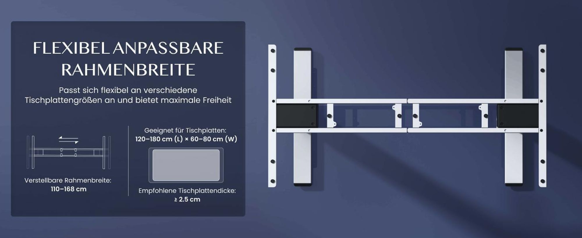 FLEXISPOT E5 Plus Höhenverstellbarer Schreibtisch 160x80cm, Doppelmotor, 25MM EINTEILIGE TISCHPLATTE, USB-Anschluss, 120KG Tragkraft, Ahorn