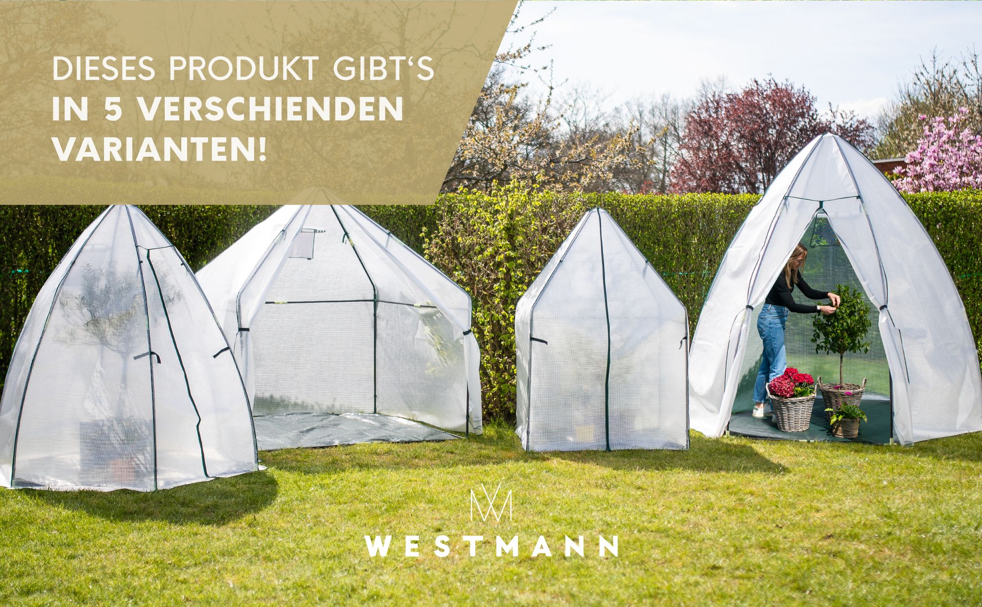 Westmann Überwinterungszelt & Foliengewächshaus Chili Weiß 120x120x180 cm
