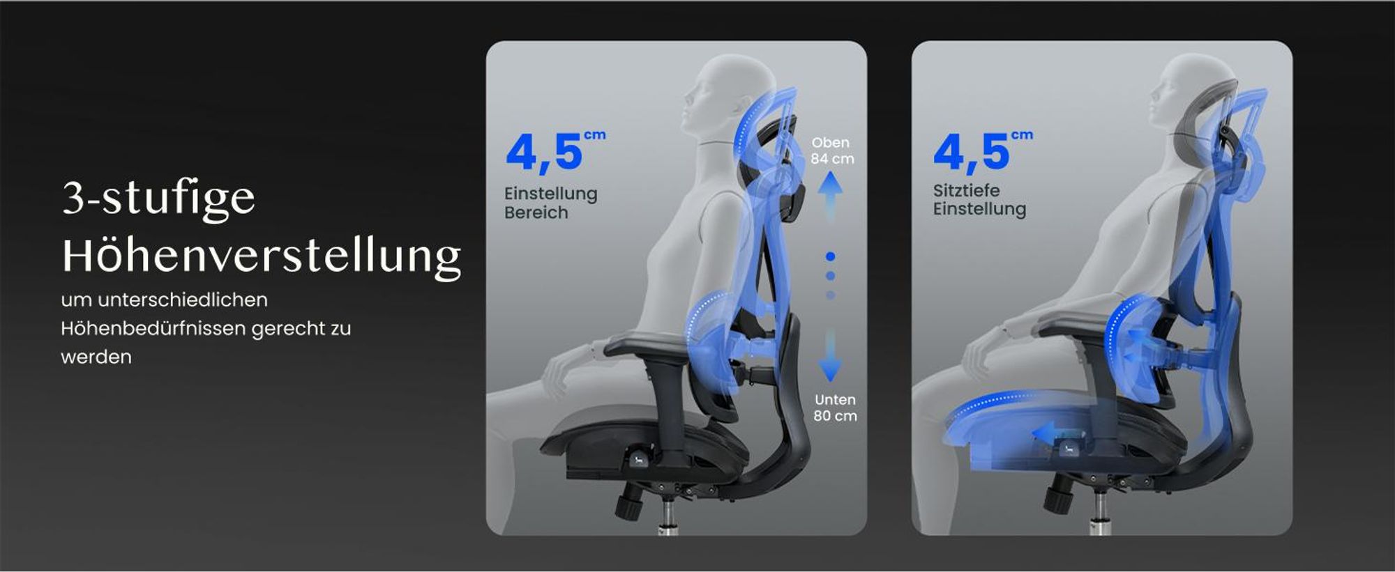 FLEXISPOT Sentinel Ergonomischer Bürostuhl mit Dual-Wing-Lendenstütze, 3D-Kopfstütze & Armlehnen, Fußstütze, Verstellbare Sitztiefe (Schwarz)