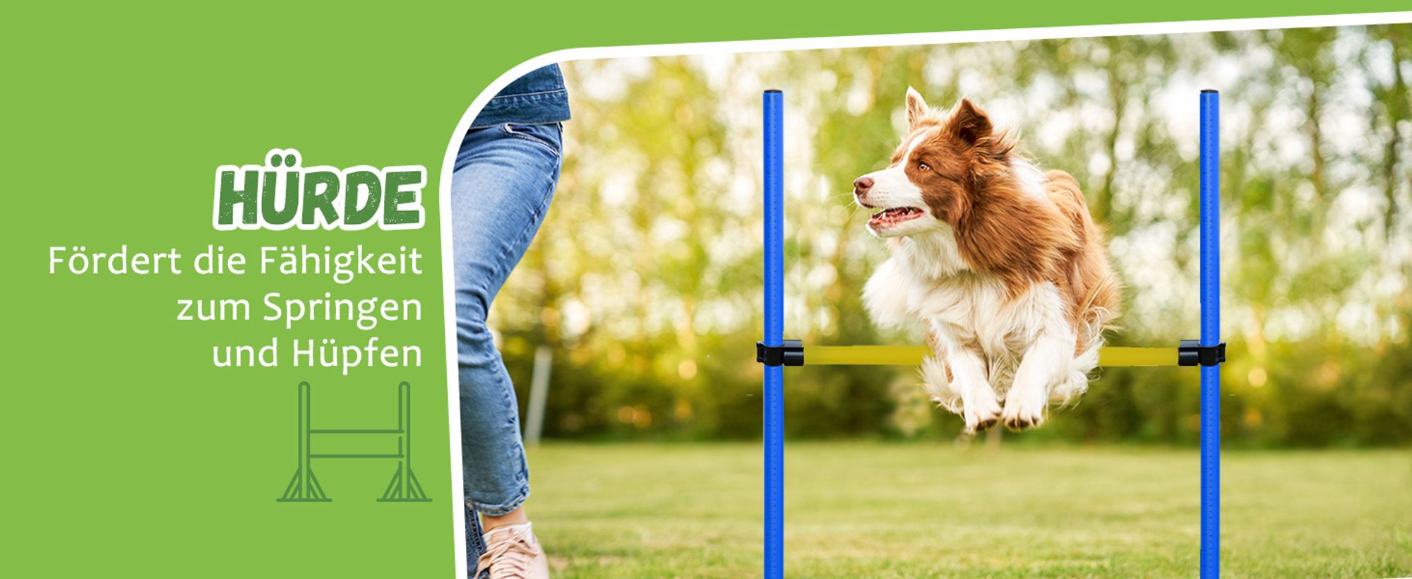 PawHut Hunde-Agility-Trainingsgeräte, Hunde-Agility-Parcours, Hund Agility Set