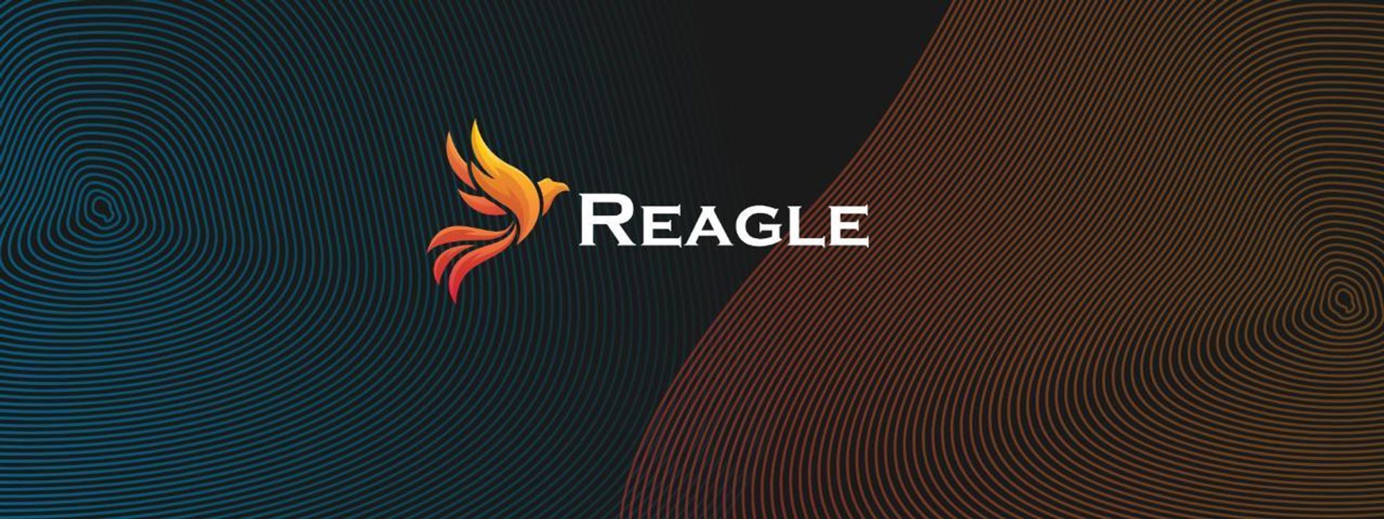 Festplattenkabel USB C USB A auf Micro USB B 3.2 10Gbps 0.5m Reagle 2 in 1 Schnelles Datenkabel Ladekabel für Externe Festplatte Kamera SSD Schwarz