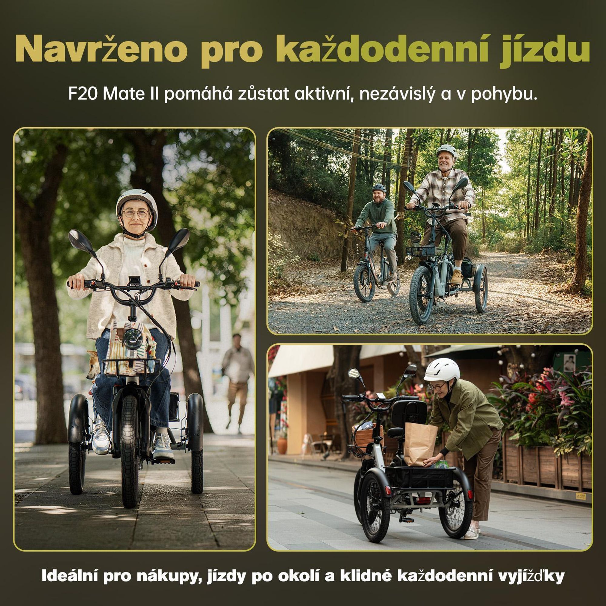 Elektrokolo FAFREES F20 Mate II - Motor 250W Baterie 48V25AH 20 Palce Pneumatiky Hydraulická kotoučová brzda - Armádní zelená