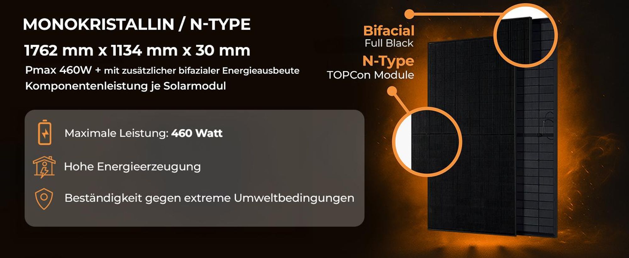 SUNNIVA 920W Balkonkraftwerk BIFAZIAL FULLBLACK komplett Steckdose AP Systems EZ1-M 800W Wechselrichter, Solaranlage 2x460W Glas Solarmodule,5m Kabel