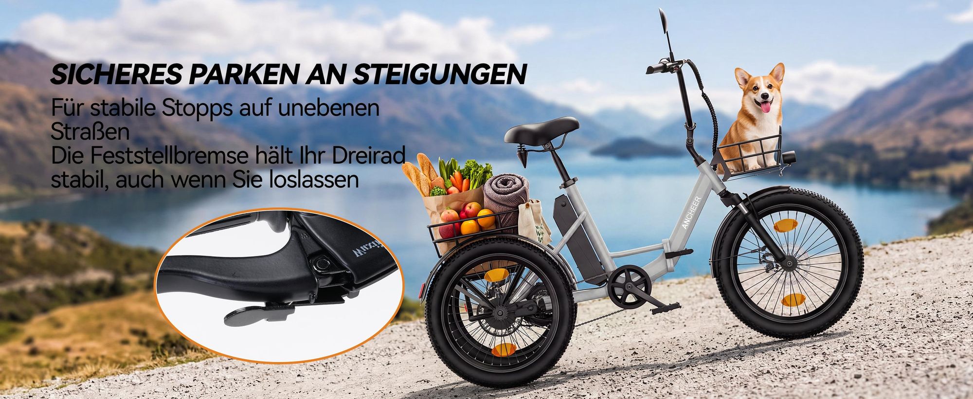 20" Fat Tire E-Bike Dreirad Klappbar, Elektro Lastenfahrrad Erwachsene, 36V 10.4Ah, 250W Motor, Differential, 286kg Zuladung, Doppelkorb, Grau