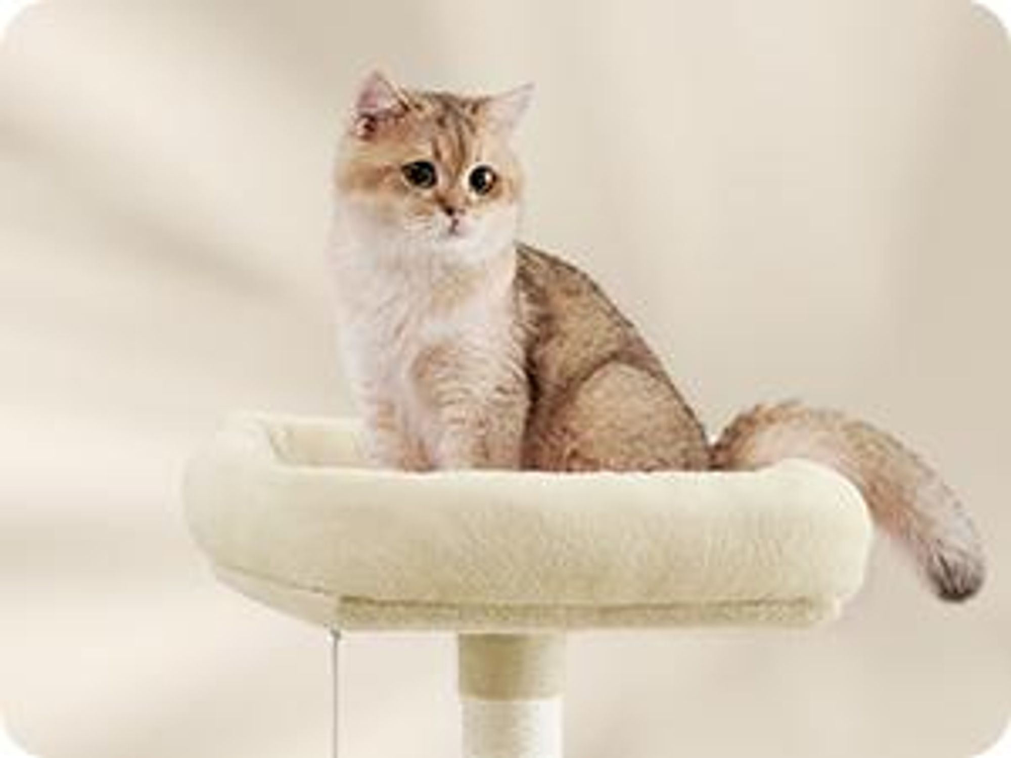 Feandrea Kratzbaum 206 cm, XXL, mit 13 Kratzsäulen, 2 Plattformen beige