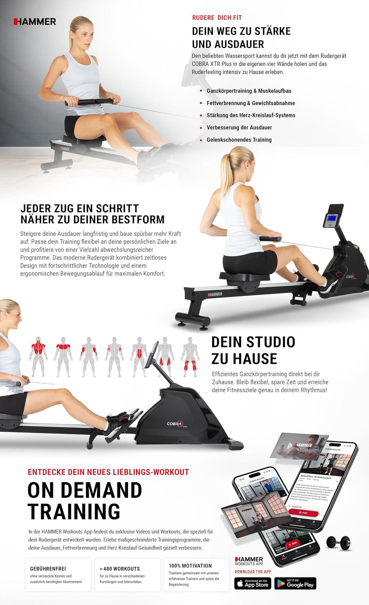 HAMMER Rudergerät Cobra XTR Plus II, innovativer Trainingscomputer, max. 130 kg