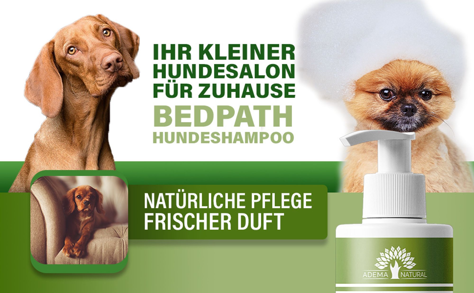 Adema Natural® | Petbath | Shampoo für Hunde - Hundeshampoo gegen Fell Geruch & Juckreiz – Fellpflege – für alle Hunderassen geeignet