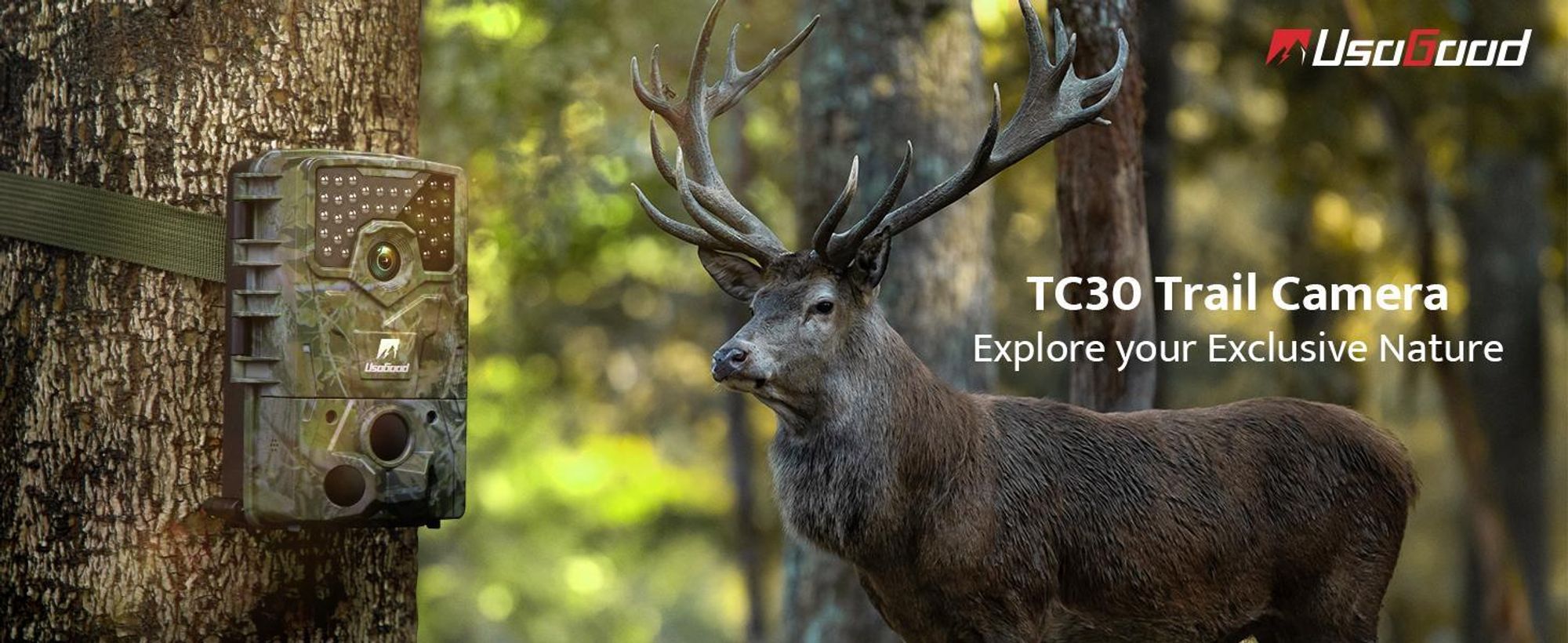 TC30 3 PIR 120° Erkennungsbereich Nachtsicht Jagdkamera
