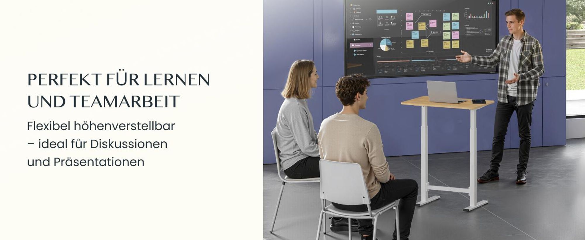 FLEXISPOT Gasfeder Höhenverstellbarer Schreibtisch 80×50 cm – stufenlos manuell verstellbar, Steh-Sitz-Tisch ohne Strom, mobil mit Rollen (Ahorn)