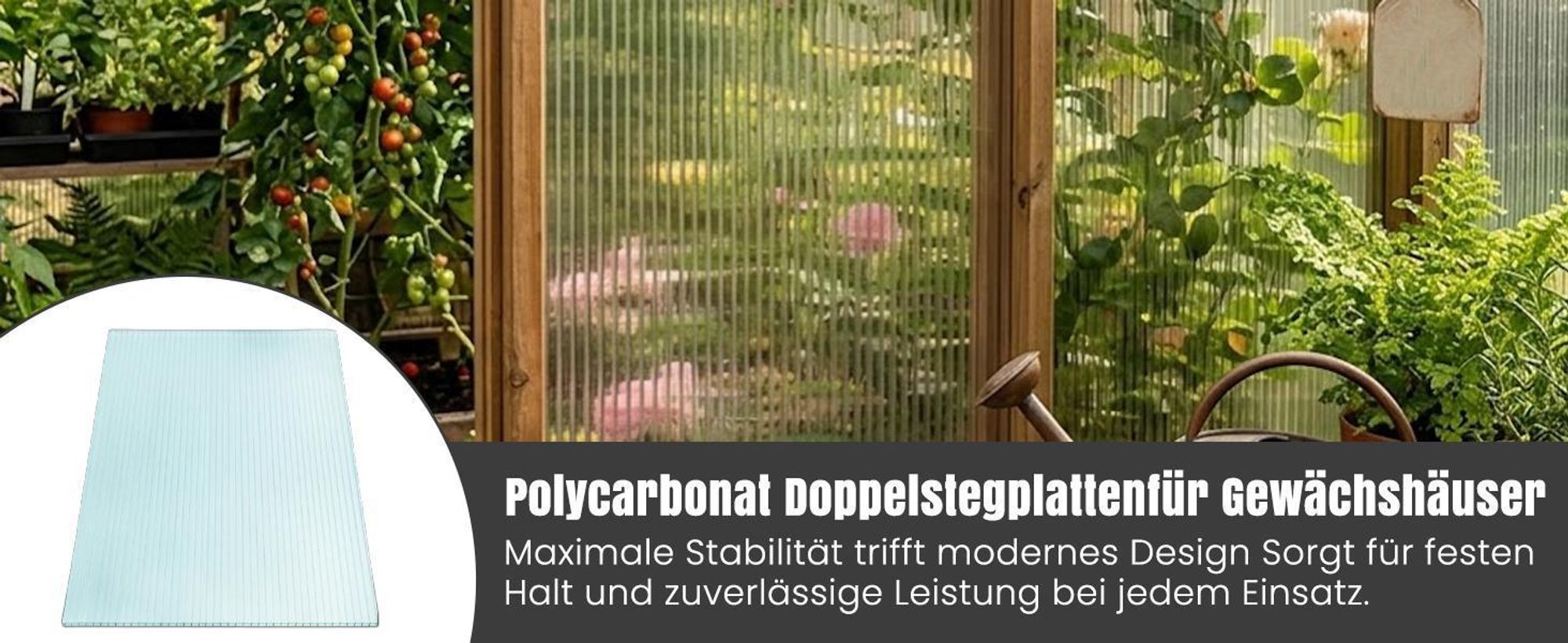 Gewächshausplatten 5 Stk. | Hohlkammerplatten Doppelstegplatten 4mm | Platten für Gewächshaus | 700x1500mm