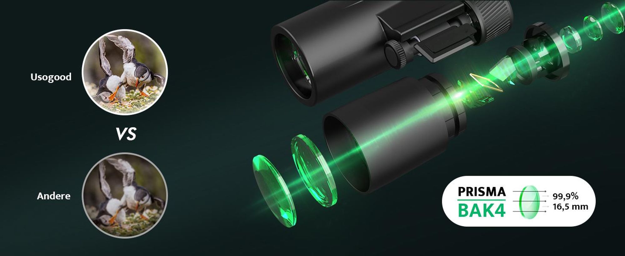 Hochleistungsfernglas 10x42 HD fernglas Erwachsene mit BAK4-Prisma und FMC-Objektiv Kompaktfernglas