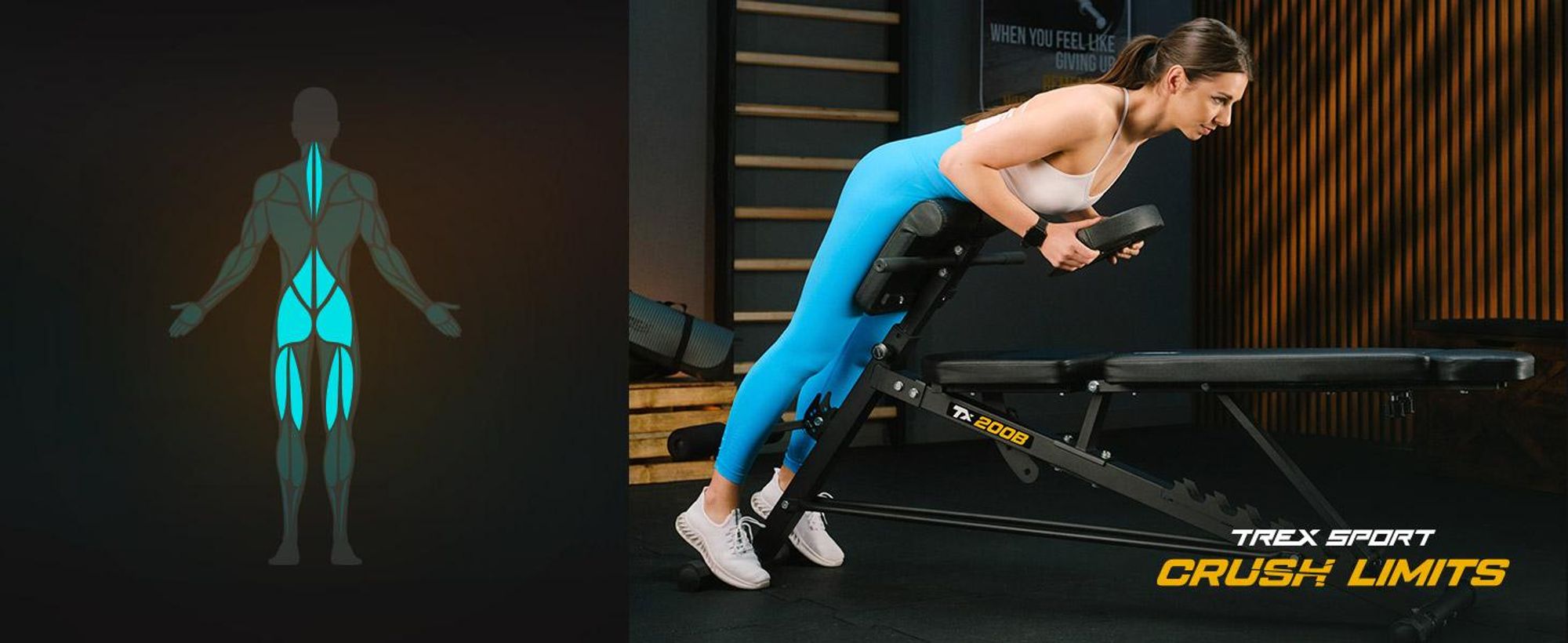 TREX SPORT Multifunktions Hantelbank TX-200B | Trainingsbank mit 7-fach verstellbarer Rückenlehne, Curlpult & Beinstrecker, bis 250 kg