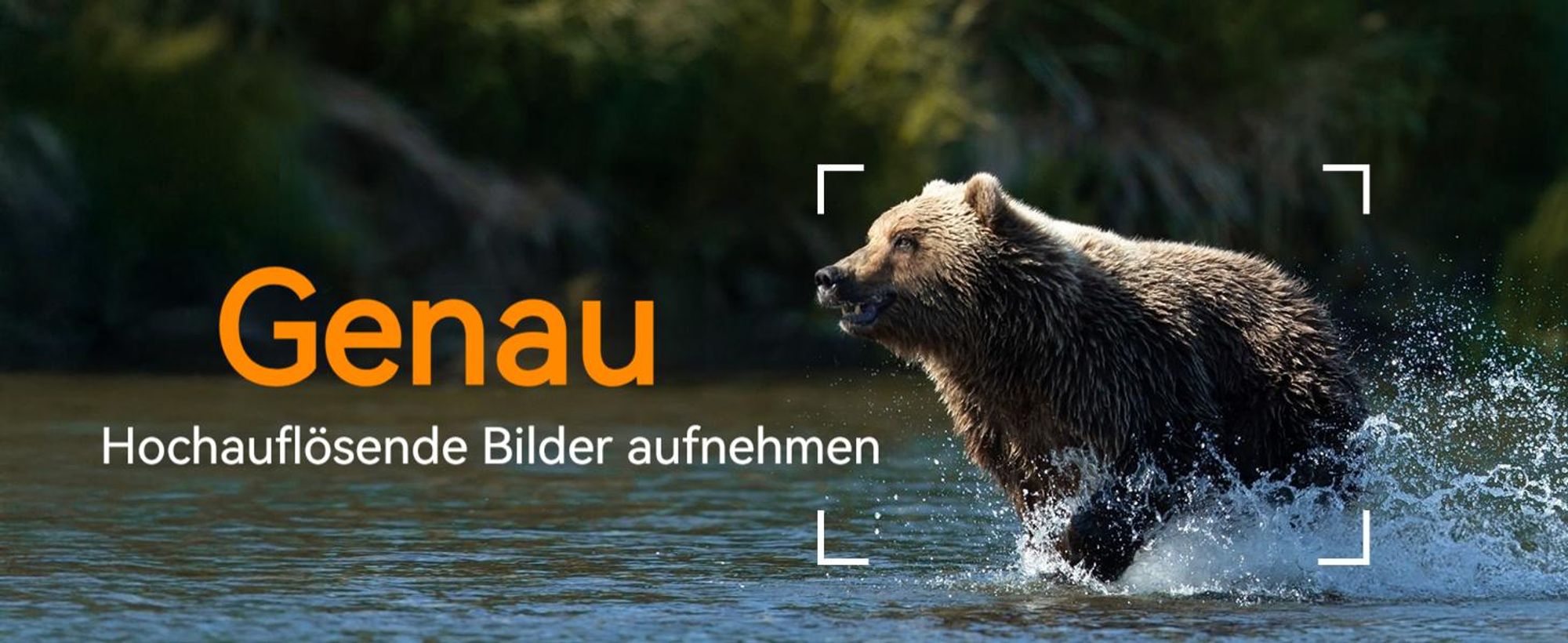 4K Wildkamera Solar 48MP Wildkamera mit Bewegungsmelder Nachtsicht 120° Winkel 2 Zoll Bildschirm Erfassungs 0,3s Auslösezeit 32GB TF-Karte Wasserdicht