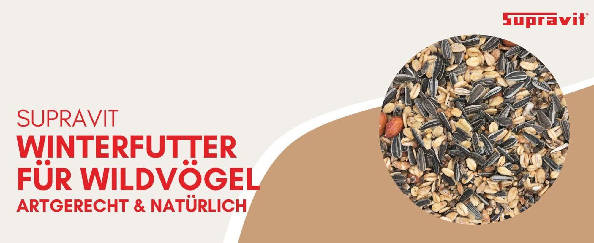 Produkt auf grafischem Hintergrund