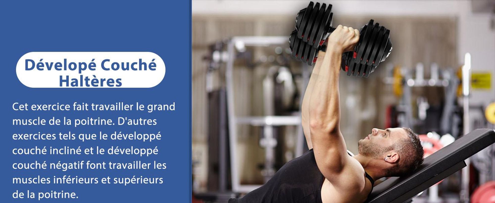 DH FitLife Haltères réglables 18 kg (Lot de 2) - 12 niveaux de poids, Poids variable 12 en 1, Disques inclus, Haltères ajustables courts
