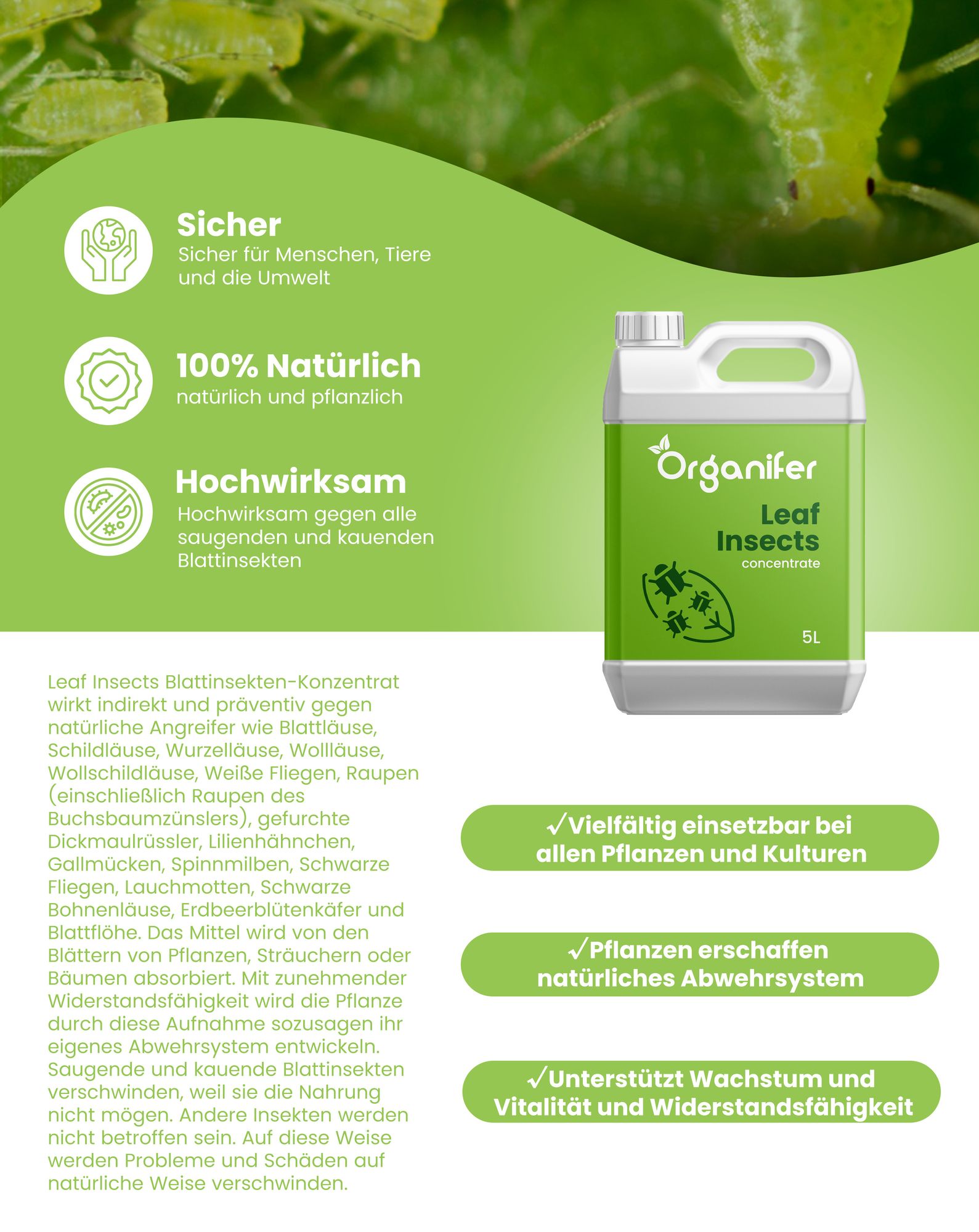 Leaf Insects Blattinsekten-Konzentrat - 250 ml für 250 m2- Organifer