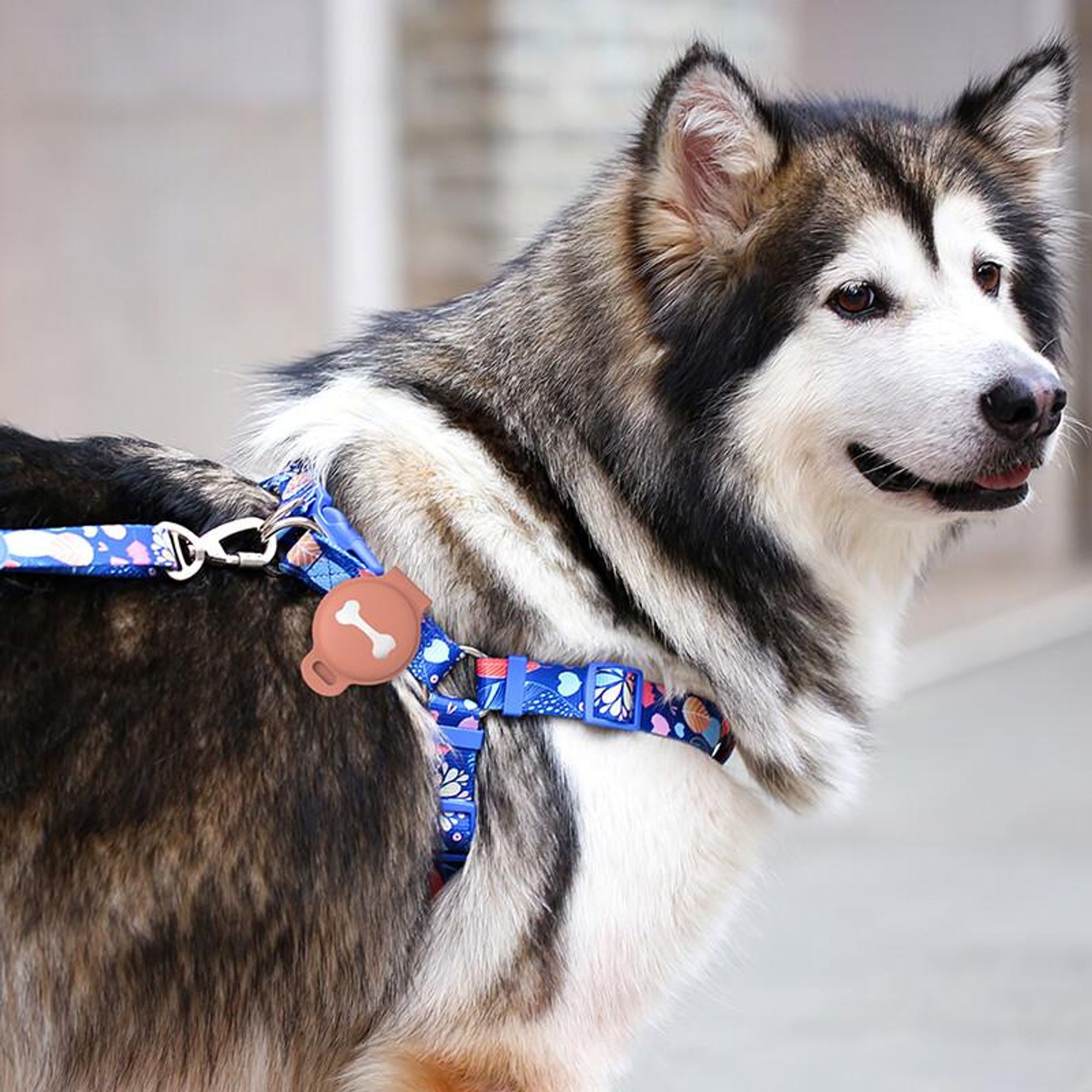 Apple AirTag Silikon Schutzhülle Halsband Hund Katze Anhänger Halter schwarz