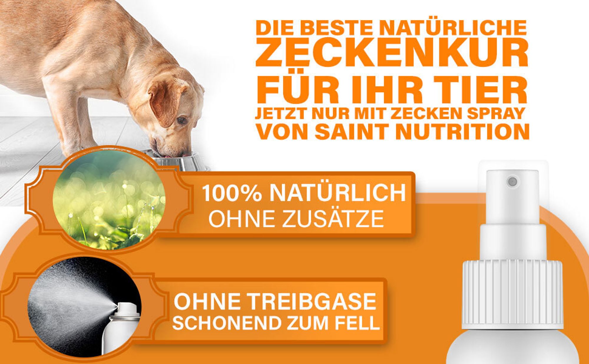 Saint Nutrition® Zecken+ Spray – zum Schutz vor Zeckenbefall – Abwеhr gegen Zecken - für Hunde und Katzen – Zeckenschutz Hund  – Schutz für Haustiere