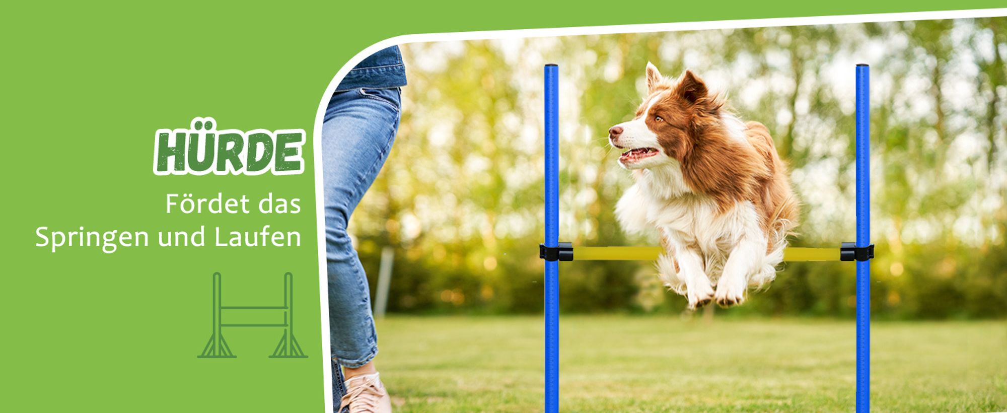 Pawhut Hunde Agility Slalom Übung Hundesport Training Reifen Hürde Set 2 Modelle