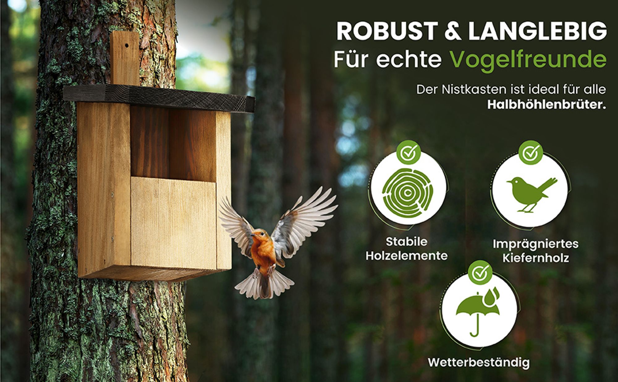 Waldfunk Nistkasten Halbhöhle für Rotkehlchen & Co. | Wetterfest & Massives Holz | Vogelhaus für Nischenbrüter | Einfache Aufhängung & Reinigung