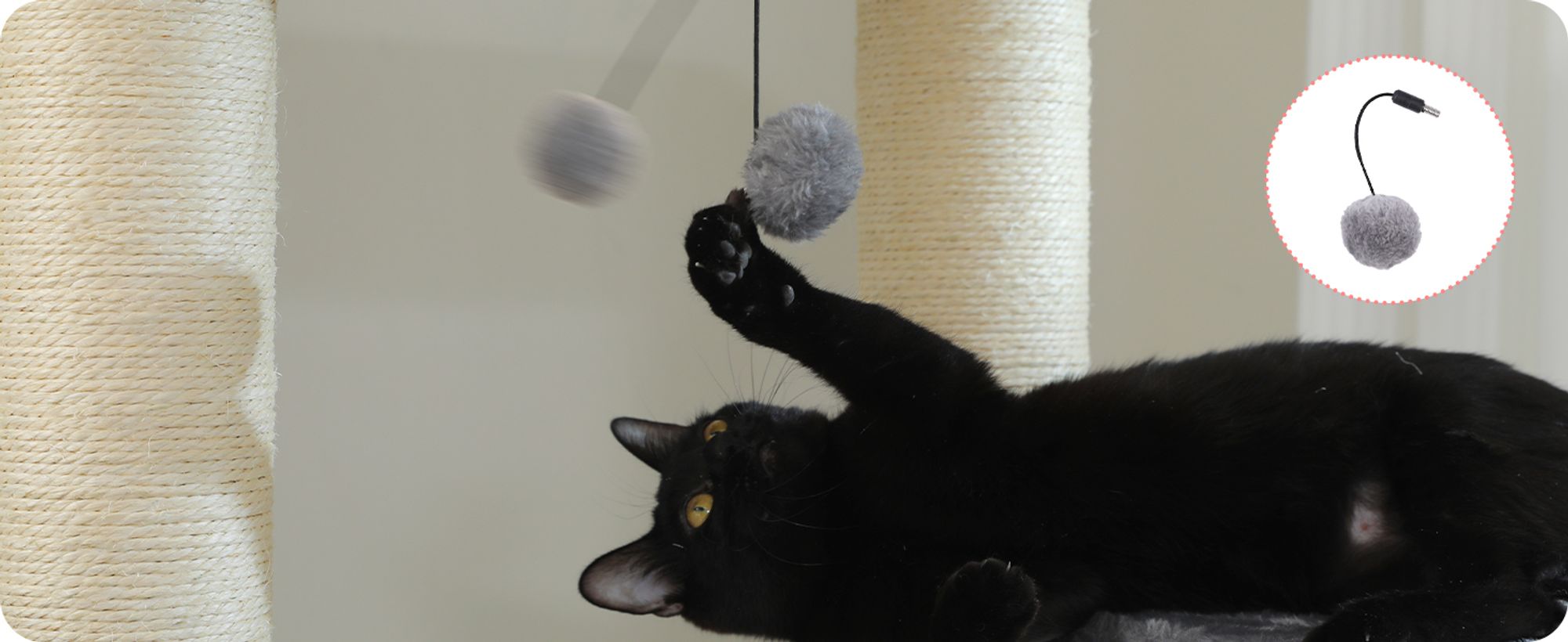 PAWZ Road Kratzbaum Grosse Katzen stabil mit 11cm Stämme, Kratzbaum XXL 170cm